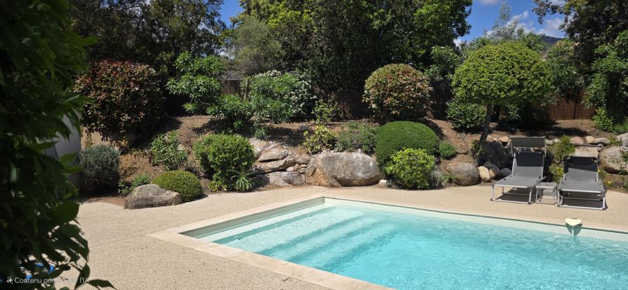 La piscine et son écrin de verdure
