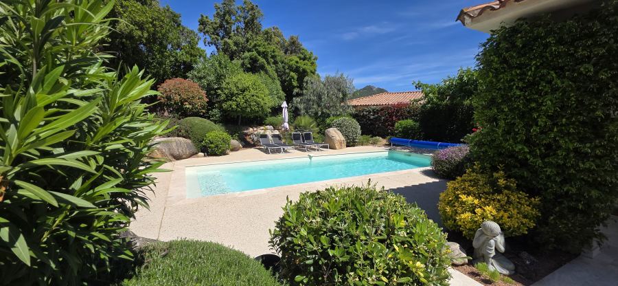 La piscine et son jardin fleuri