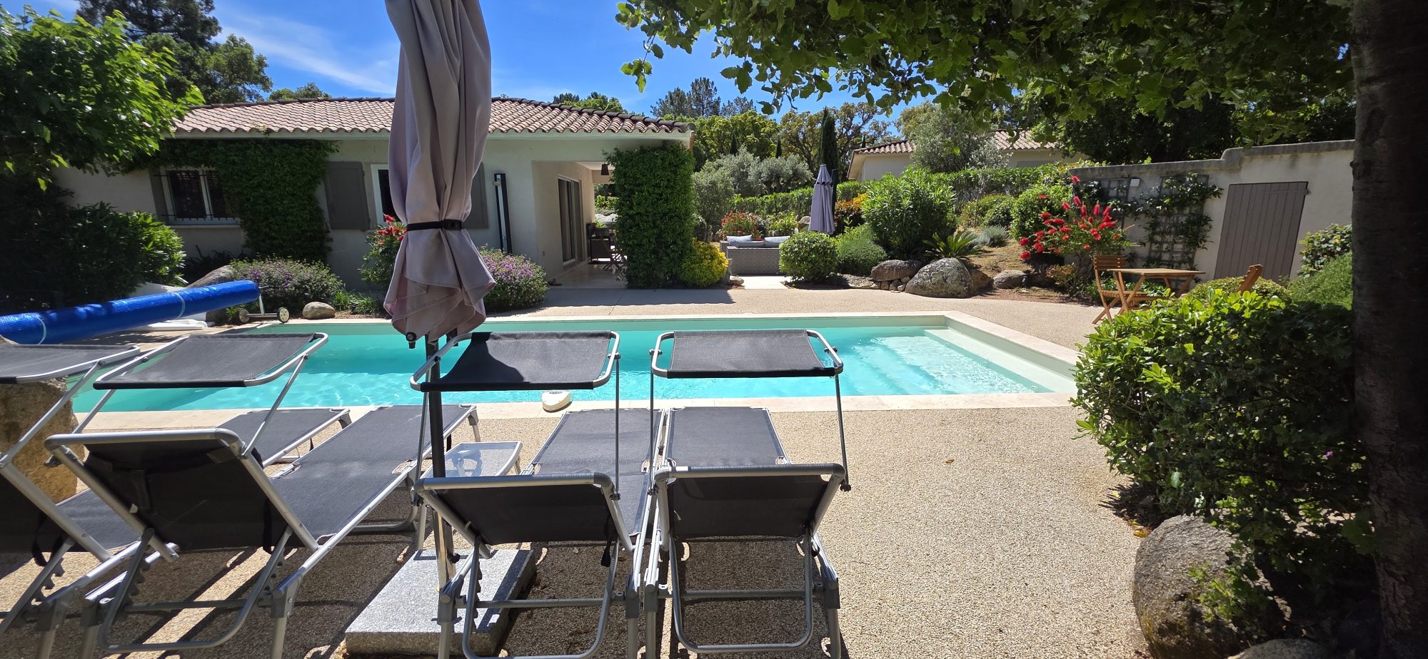 Sieste à l’ombre, plongeons dans la piscine