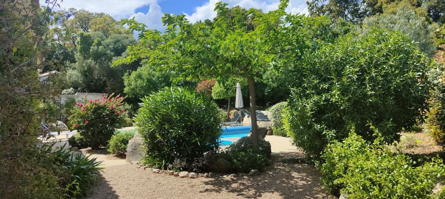 Le jardin et ses arbres fruitiers