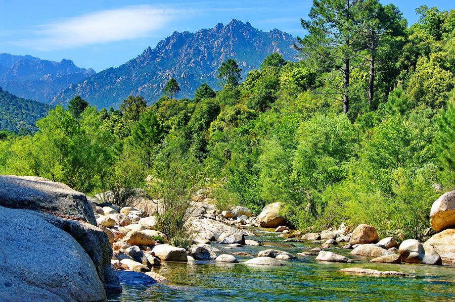 La rivière du Cavu et ses vasques de granit
